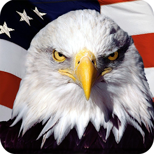 Eagle HD Wallpaper.apk 1.01