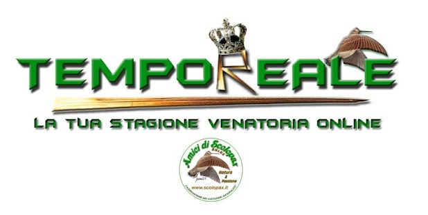 How to get TempoREALE 1.0 apk for bluestacks