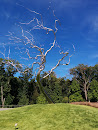 Yield by Roxy Paine