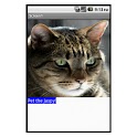 Pet the Kitty logo