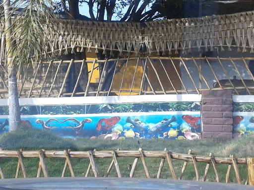 Mural Acuario Bohio Del Lago