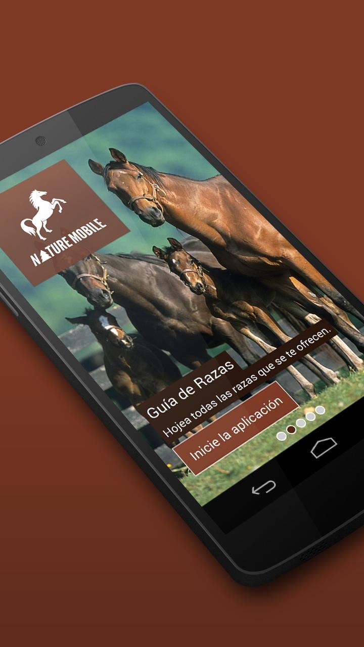 Android application iKnow Horses 2 PRO screenshort