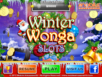 Winter Wonga Slots poster 6