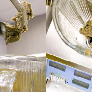 船來芋冰牛乳大王