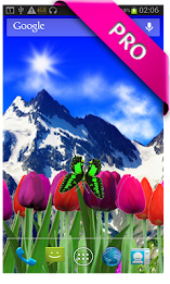 Tulips live wallpapers by PanSoft poster 6