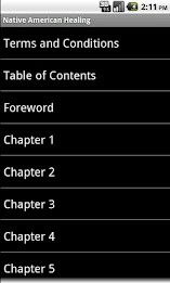 Native American Healing poster 4