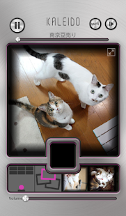 Free KALEIDOにゃんこ～この歴史の音をあなたに～ APK for PC