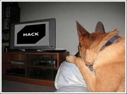 Download Assista_Cachorros APK for Android