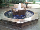 Atrium Fountain