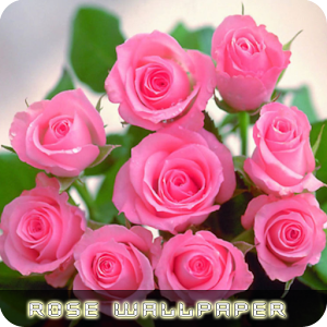 Roses flower Wallpapers V2 1.1.5