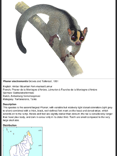 【免費書籍App】Lemurs of Madagascar-APP點子