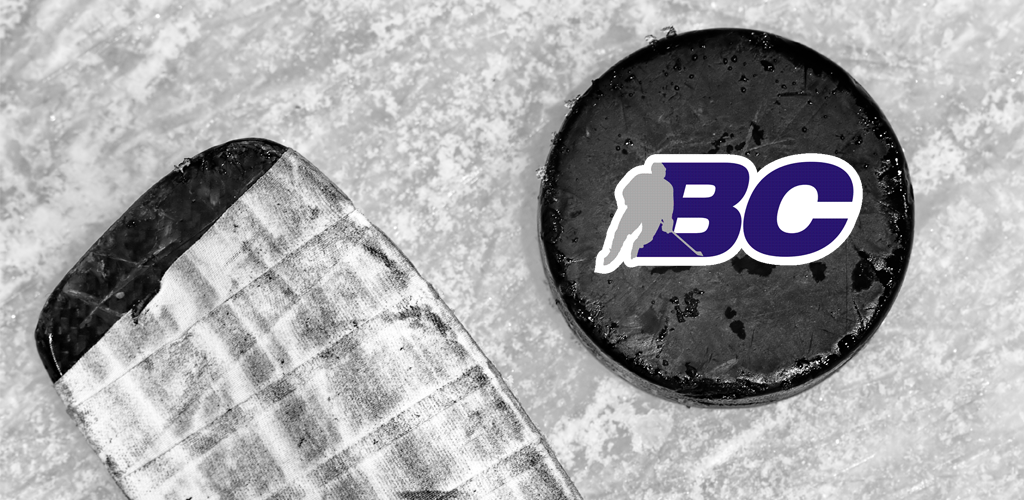 Bc app. SHL хоккей. Sal SHL. SHL PNG logo.