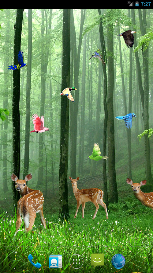 Android application Rain Forest LWP screenshort