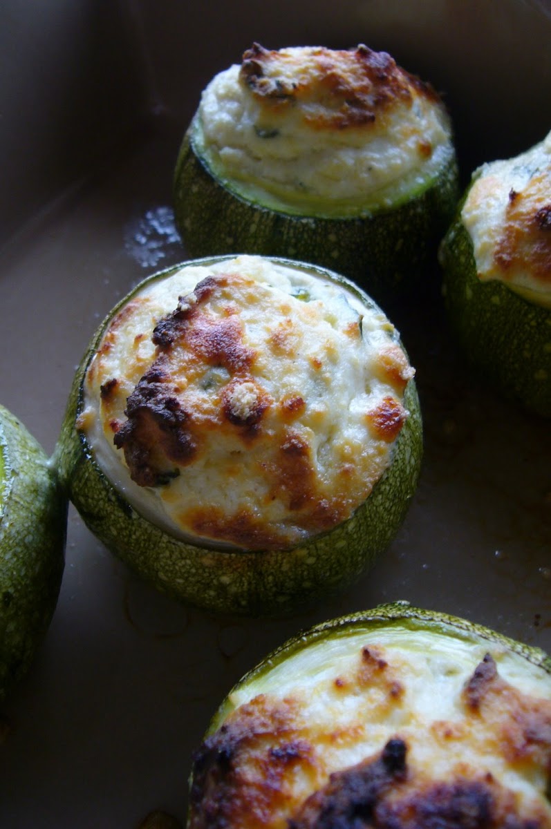 10 Best Round Zucchini Recipes
