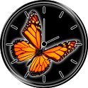 Beautiful Butterfly Widget icon