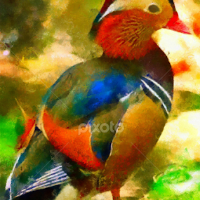colorful fowl by Scott Bennett - Painting All Painting