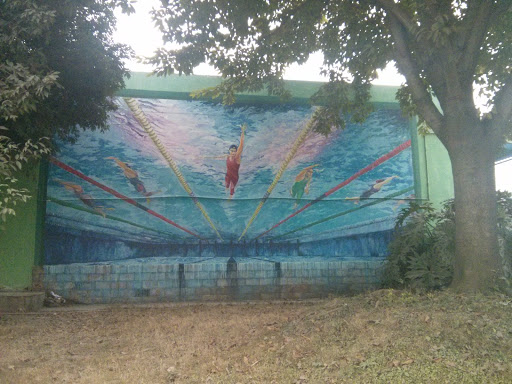 游泳馆壁画