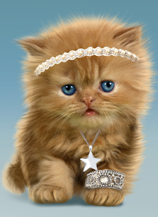 Babyen katt, søt wallpaper – Android-apper på Google Play