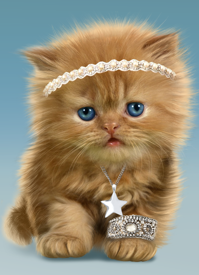  Baby  Cat  Cute  Live Wallpaper  Android Apps on Google Play