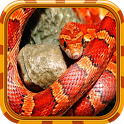 Snake Wallpaper icon