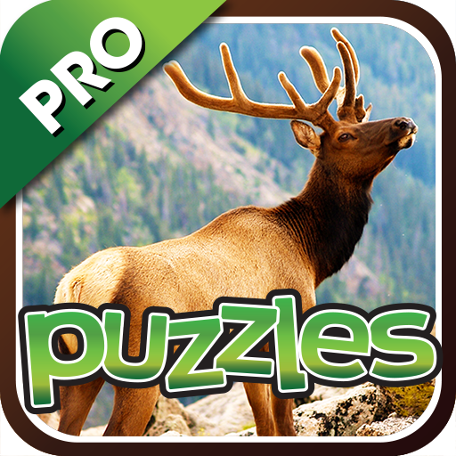 Forest Animal Puzzles Pro LOGO-APP點子