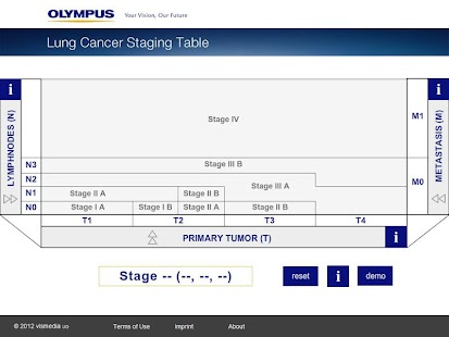 Lung Cancer Staging Tool