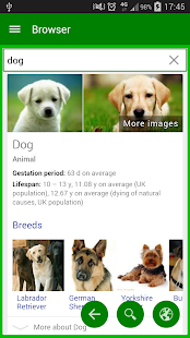 Browser Screenshots 2