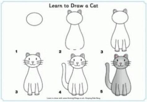 Learn How To Draw A Cat