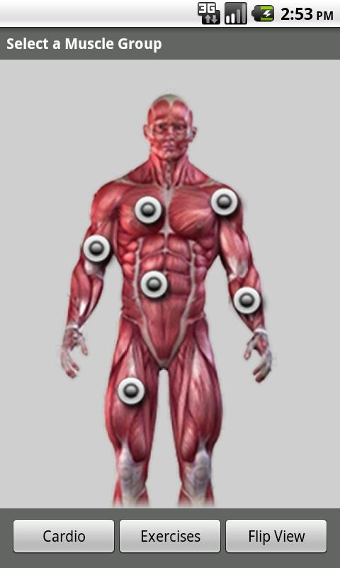 Android application GymBook Fitness &amp; Workout Log screenshort