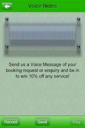 Bee Brazilian poster 3