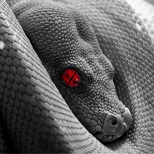 Змейка 160. Поле зрения змеи.