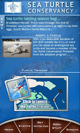 The Sea Turtle App poster 1
