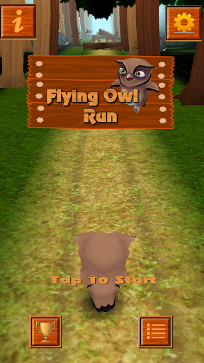 Flying Owl Run