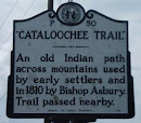 Cataloochee Trail