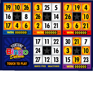 A Fortune Bingo Deluxe