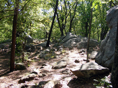 Rocky Path descending Big Kennesaw