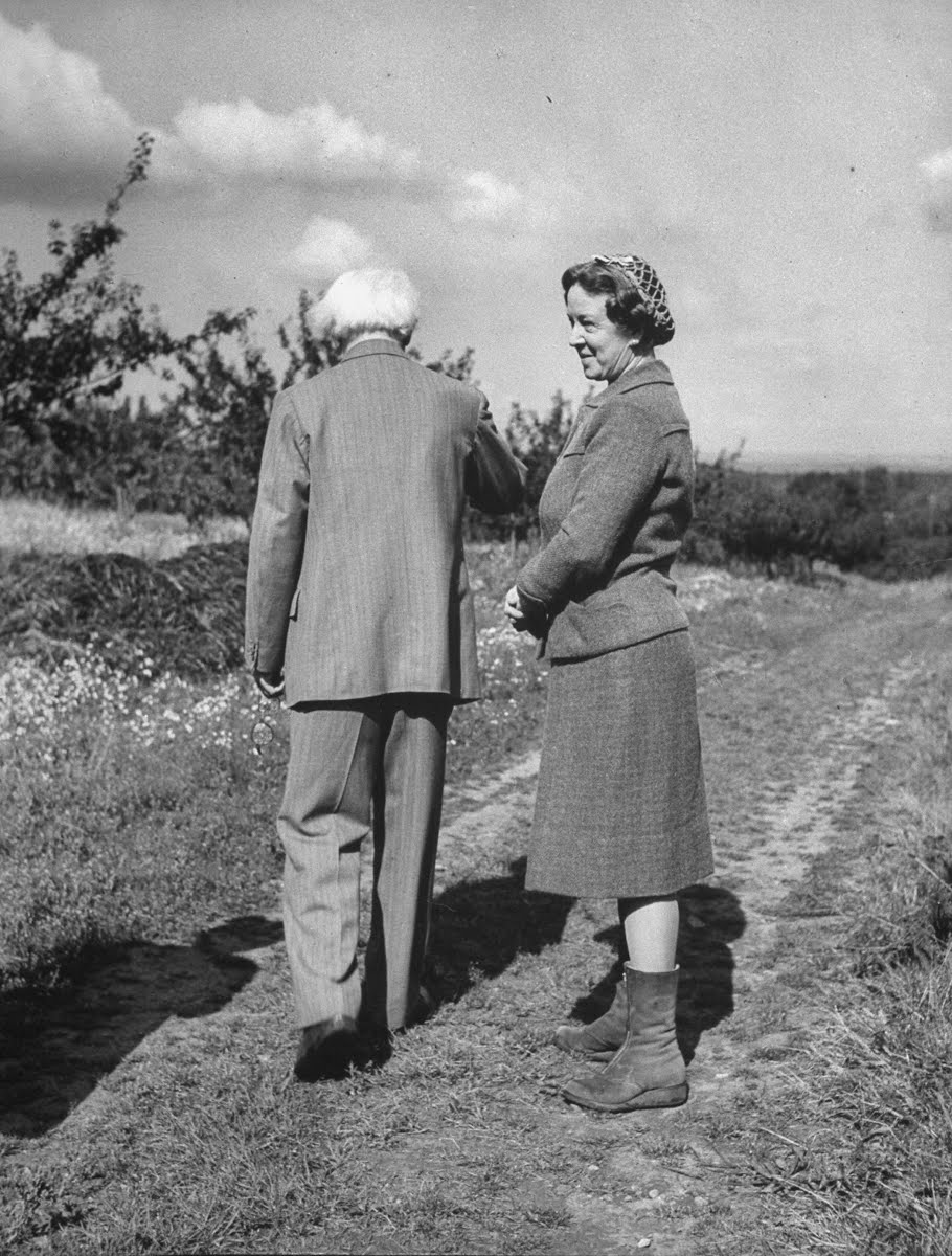 フランセス ロイド ジョージ ドワイフォーのロイド ジョージ伯爵夫人 Google Arts Culture