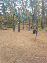 Playground in the Forest