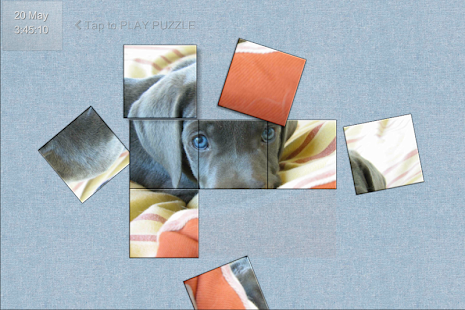 How to install Dogs: Mini Puzzle Game Room lastet apk for bluestacks
