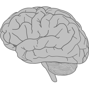 Brain Bash.apk 1.2.3