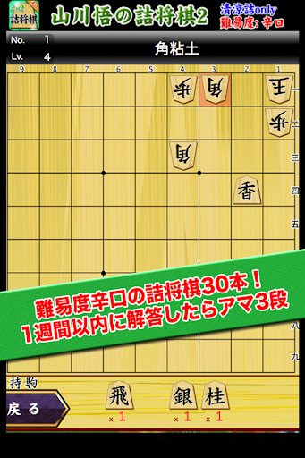 山川悟の詰将棋2