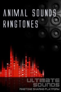 免費下載娛樂APP|Animals Ringtones app開箱文|APP開箱王