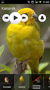 How to download Bird Sounds - Ringtones 1.4 mod apk for bluestacks