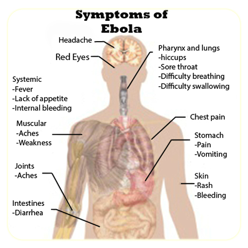 Ebola Virus Disease Symptoms LOGO-APP點子