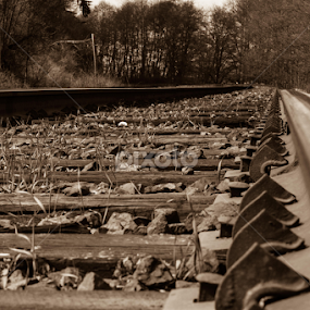 Clamped Stakes by E.g. Orren - Transportation Railway Tracks