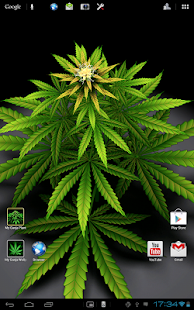 How to mod My Ganja Plant Live Wallpaper lastet apk for android
