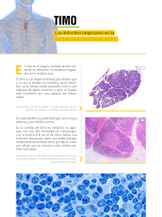 How to get Atlas Interactivo Histología 2 lastet apk for android