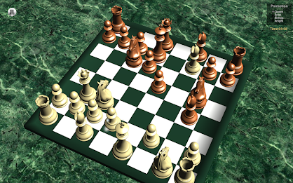 Chess Pro 3D poster 15