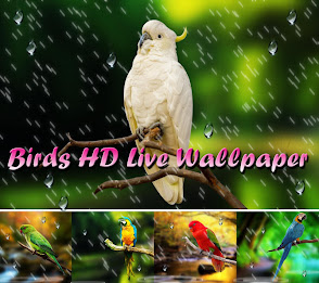 Birds HD Live Wallpaper by AppTrends poster 9