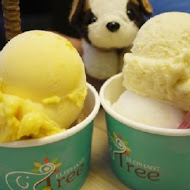 小象樹義式冰淇淋